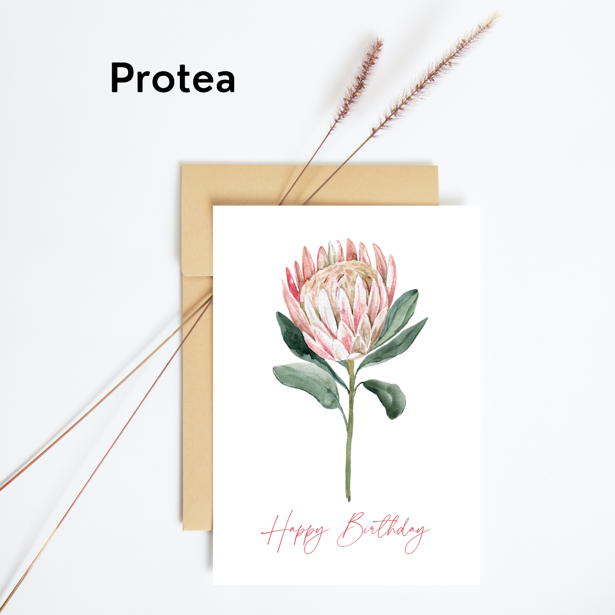 Mockup of birthday card with protea cover