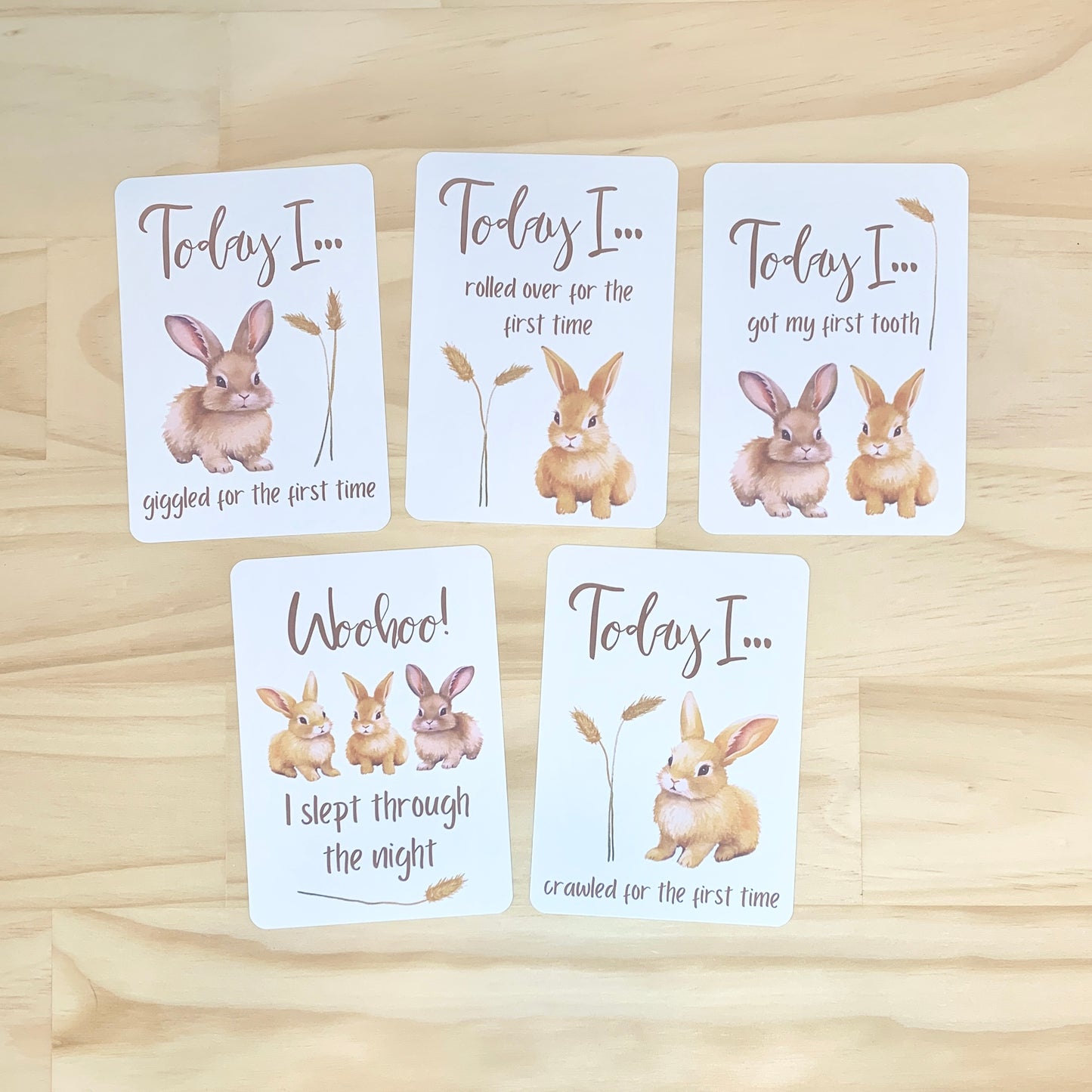 Baby Milestone Cards - Country Bunnies
