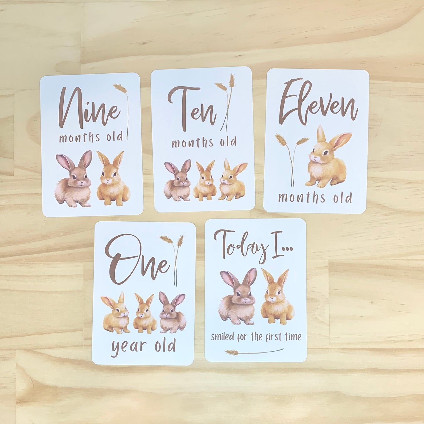 Baby Milestone Cards - Country Bunnies