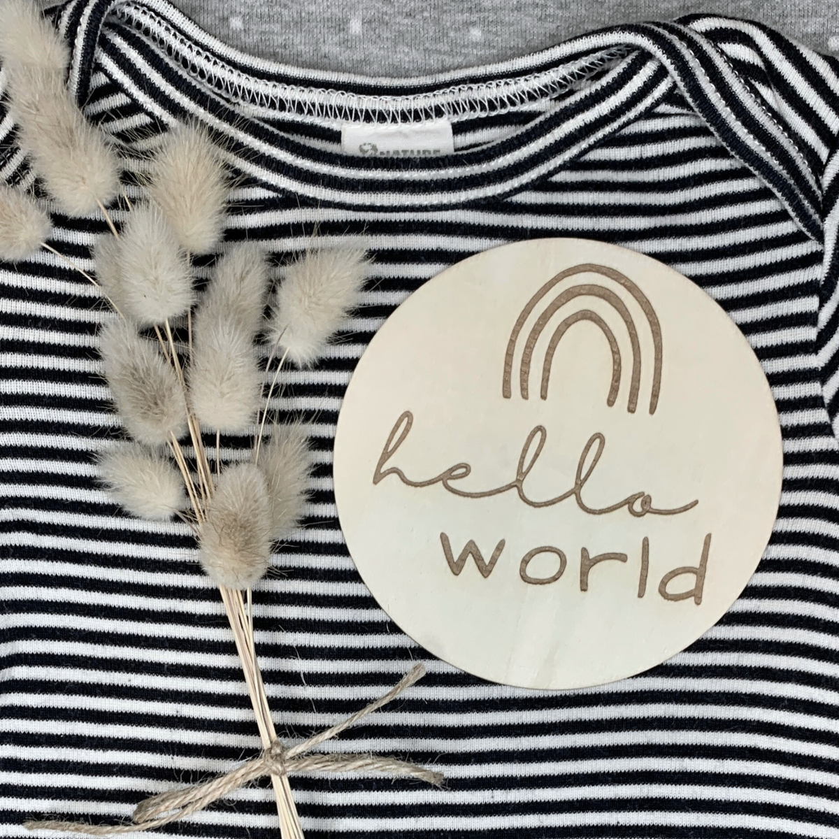 baby disc hello world